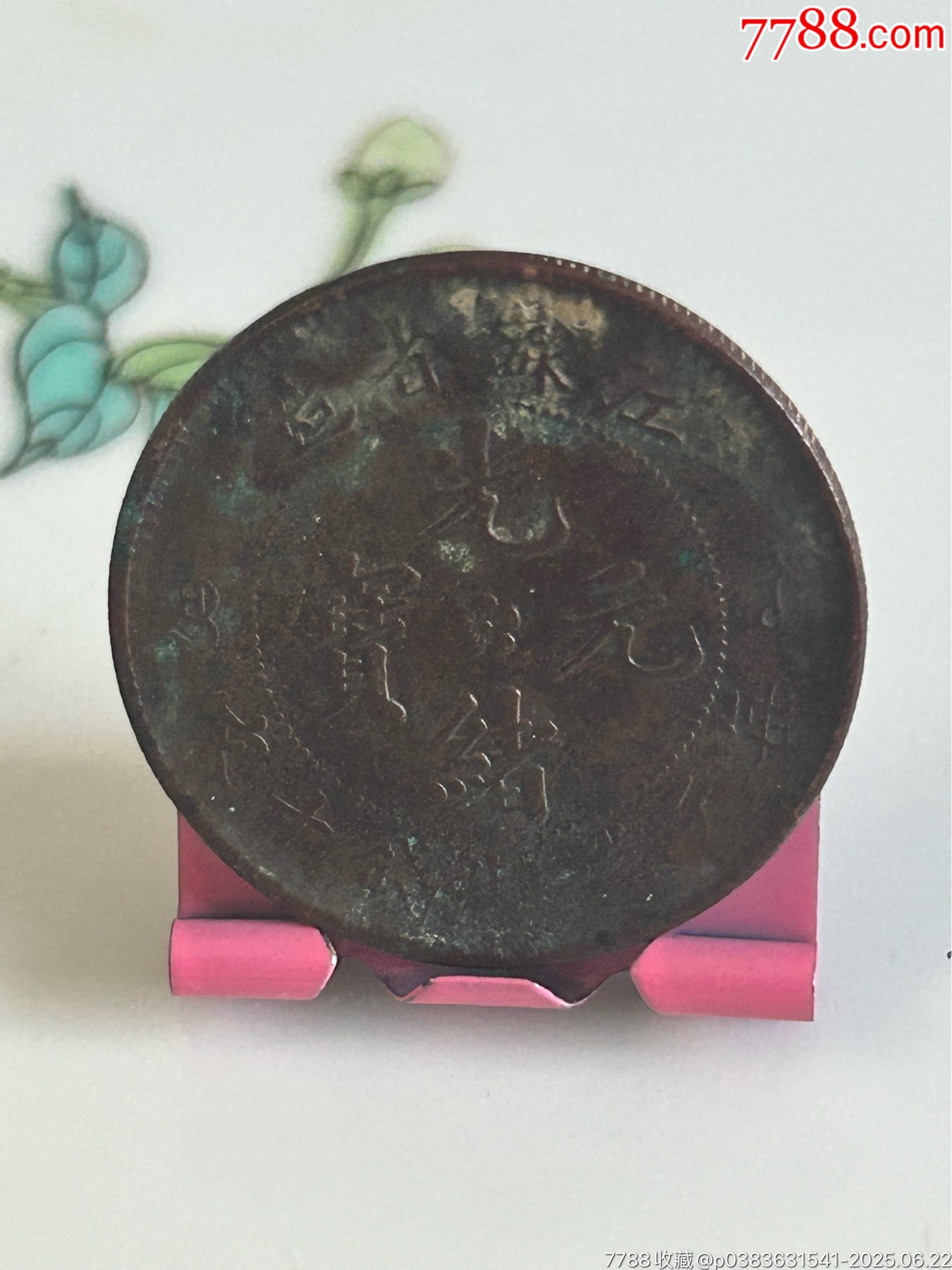 江蘇五瓣花混配八尾飛龍_價格18元_第1張_