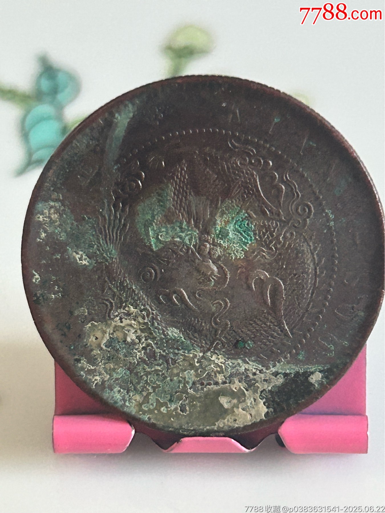 江蘇五瓣花混配八尾飛龍_價格18元_第2張_