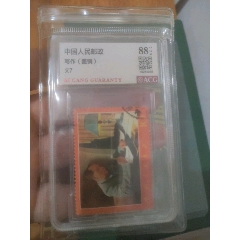 文7寫作