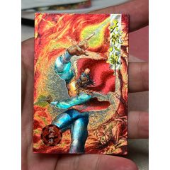 小虎隊天龍閃卡段正淳