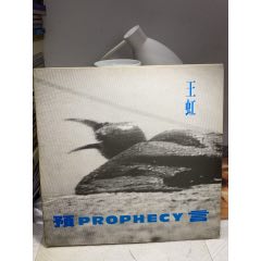 王虹-預言。黑膠LP。白板單曲。數(shù)據(jù)區(qū)無刮痕。