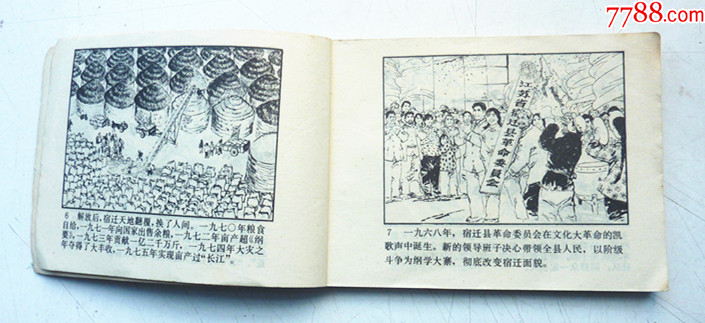 淮北大寨花【千種圖書(shū)在線熱售，歡迎光臨選購(gòu)】_價(jià)格48元_第4張_