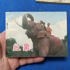 1天拍期（缺本，品弱）《紅象》自定品