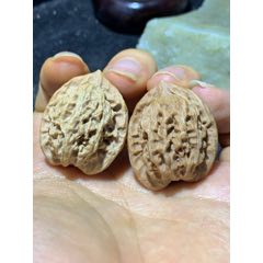 僅此一對，野生公子帽小手捻文玩核桃麻核桃一對！(zc42099221)_文玩迷福利社