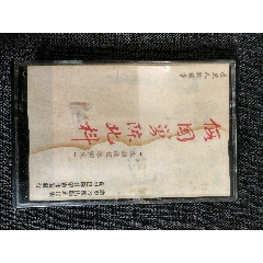 陳世文講古【假國舅陳北科】