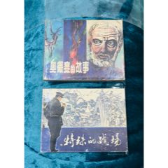 兩本磚頭書合售
