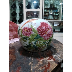 三和義淺降彩花鳥罐子