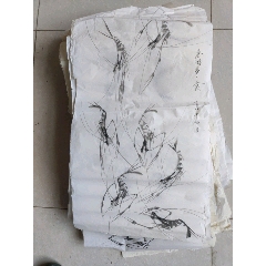 手繪蝦圖(110張)合拍(物品編號(au41960160)_澤宇淘寶