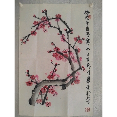 《梅花香自苦寒來》
