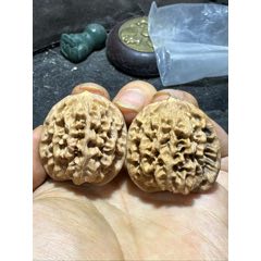 正宗秦嶺山脈秦悶獅子頭練手文玩核桃麻核桃一對！，(au42038643)_文玩迷福利社