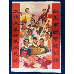 文化大革命永远放光芒(zc42369052)