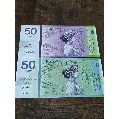 荷蘭瑪塔，哈莉