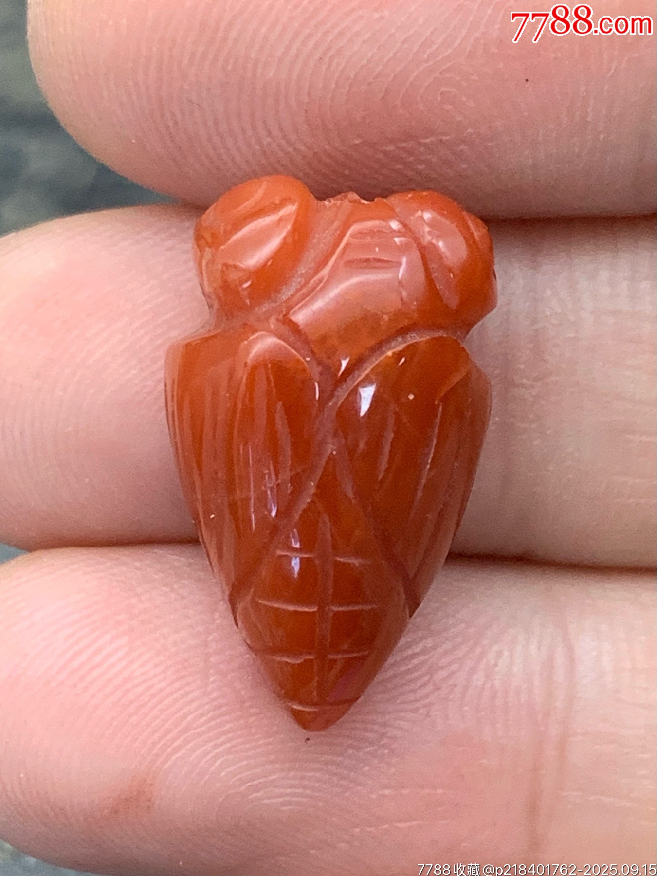 純天然南紅錦紅一鳴驚人_價格50元_第2張_