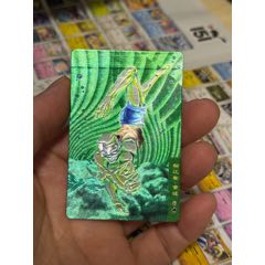 小浣熊水滸卡硬面童猛(au42714942)