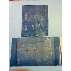 民國李星衢舊藏安徽宣城美洲華僑農(nóng)村蘭圖兩張(zc42739799)