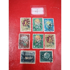 特44菊花6枚另外兩枚紀特合拍