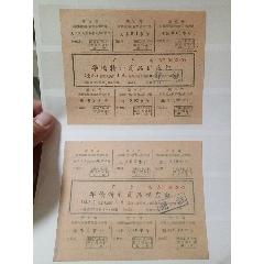 廣東華僑特種商品供應證