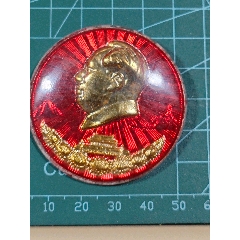 漂亮的朔料像章(au42875233)