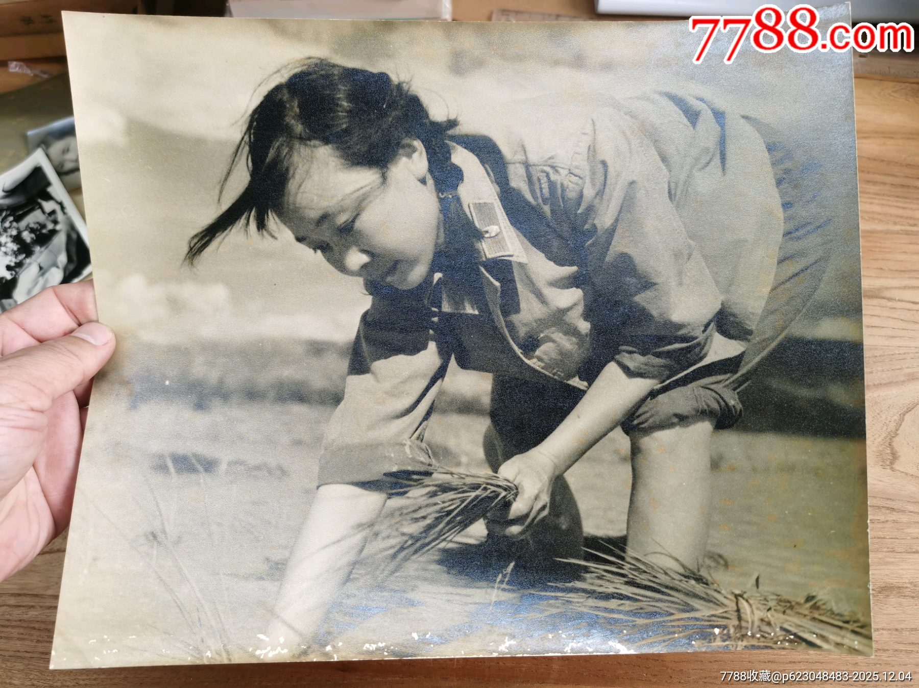 五六十年代昆明軍區(qū)文工團女戰(zhàn)士陳碧琳喜報及照片多張_價格699元_第6張_