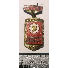 設計特別棒的個舊婦女積極分子代表會議(zc43199759)