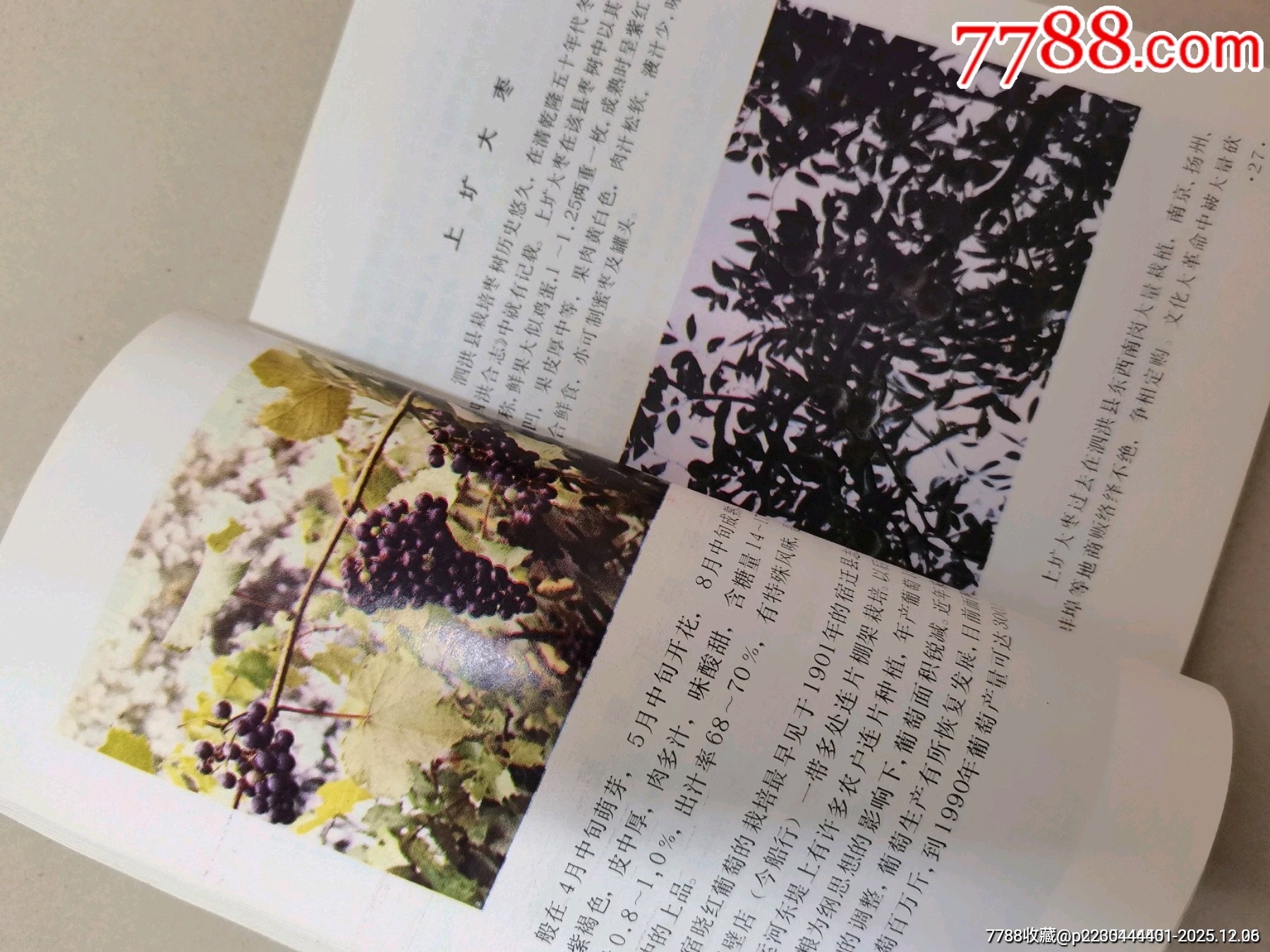 八十年代老書（淮陰農(nóng)業(yè)名特優(yōu)產(chǎn)品）_價格78元_第5張_