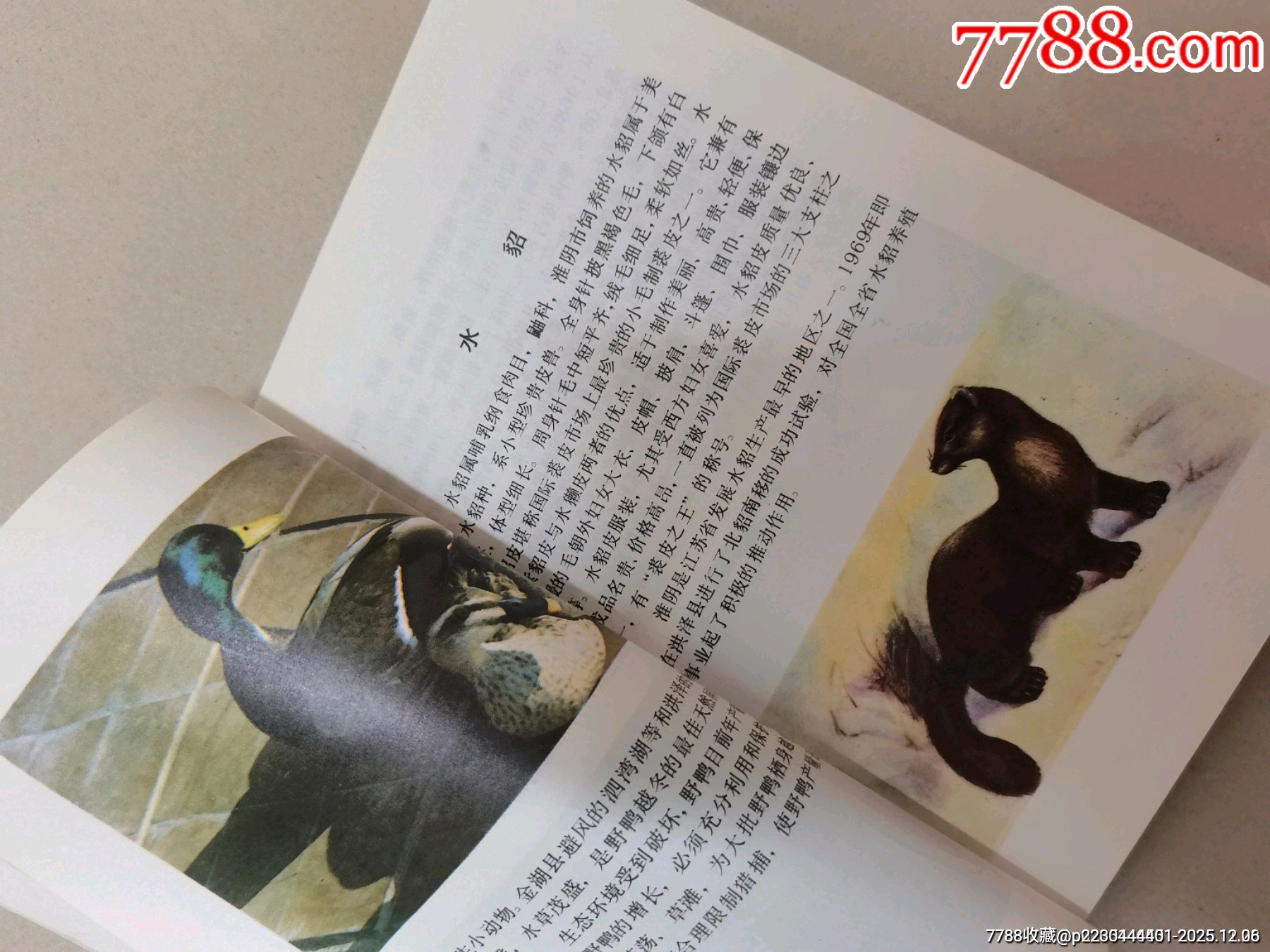 八十年代老書（淮陰農(nóng)業(yè)名特優(yōu)產(chǎn)品）_價格78元_第6張_