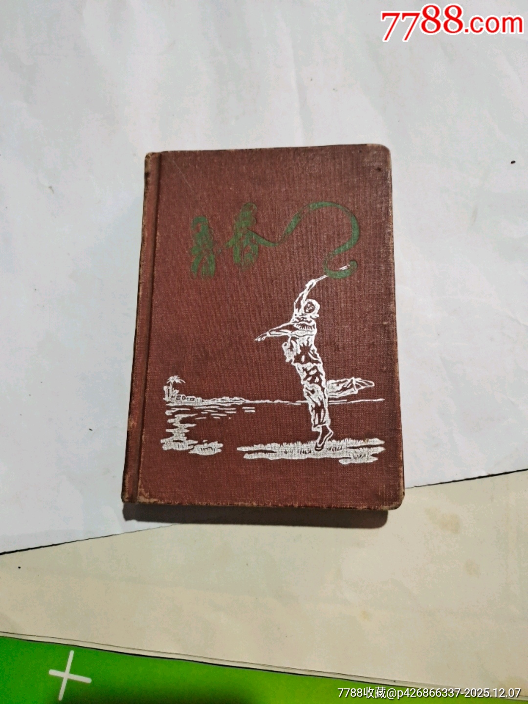 青春_價格25元_第1張_