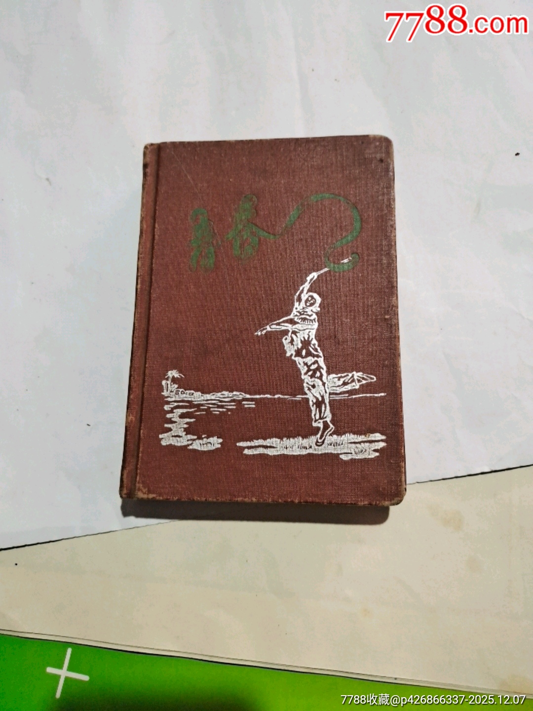 青春_價格25元_第2張_