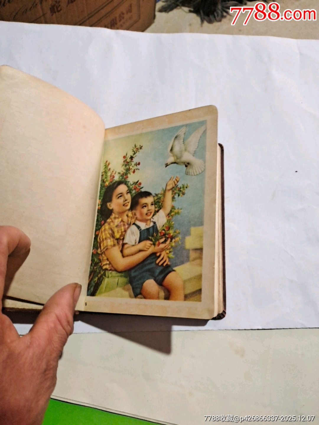 青春_價格25元_第3張_