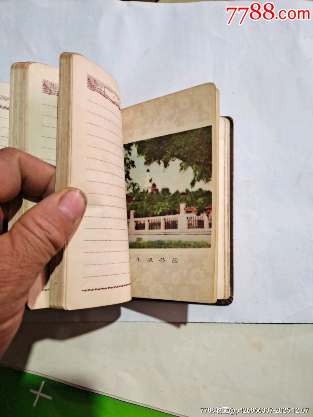 青春_價格25元_第7張_