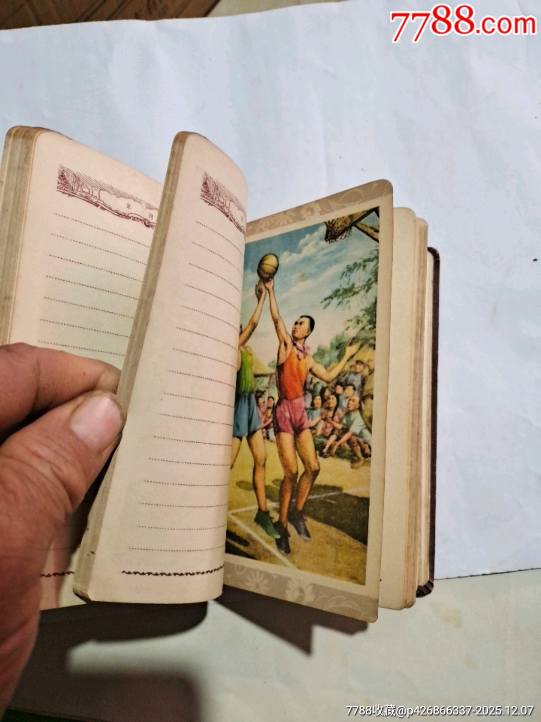 青春_價格25元_第8張_