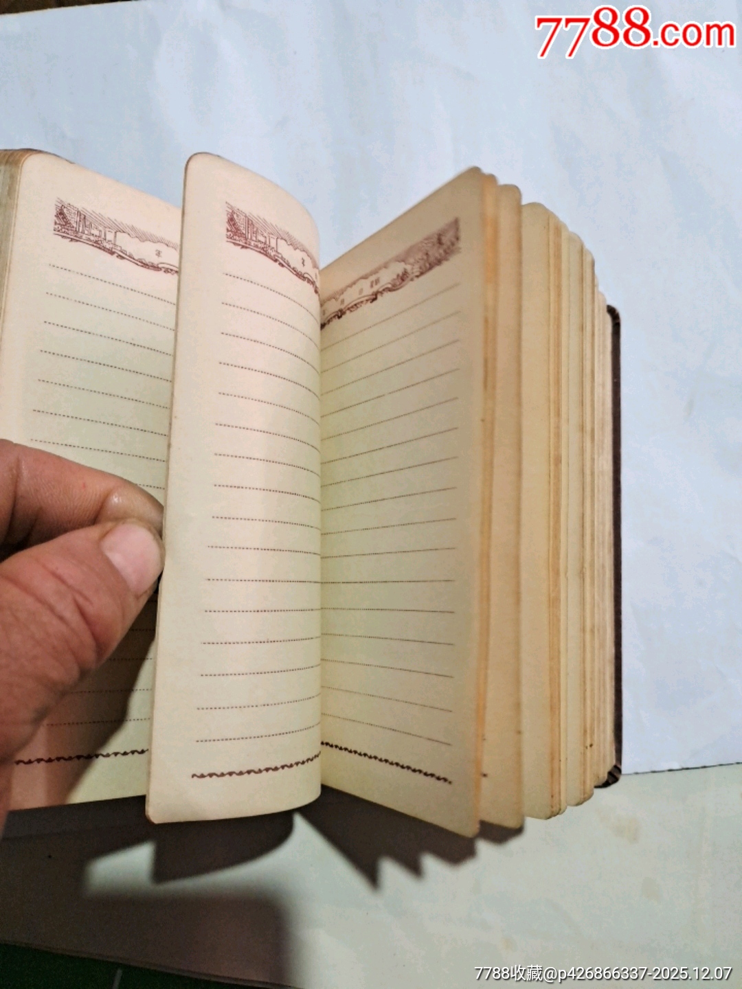 青春_價格25元_第9張_