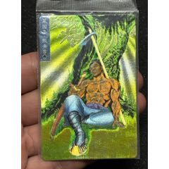 小浣熊水滸廣東硬熱金張青(au43335648)