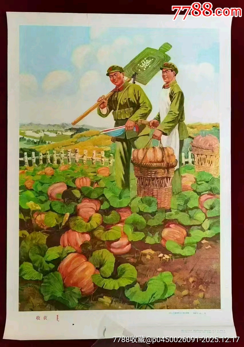 收獲_價(jià)格46元_第1張_