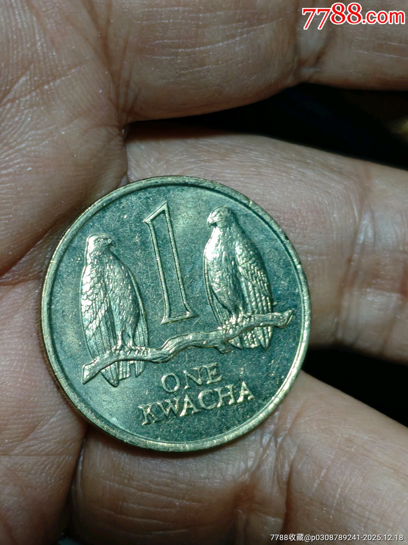 外幣5枚_價格10元_第3張_