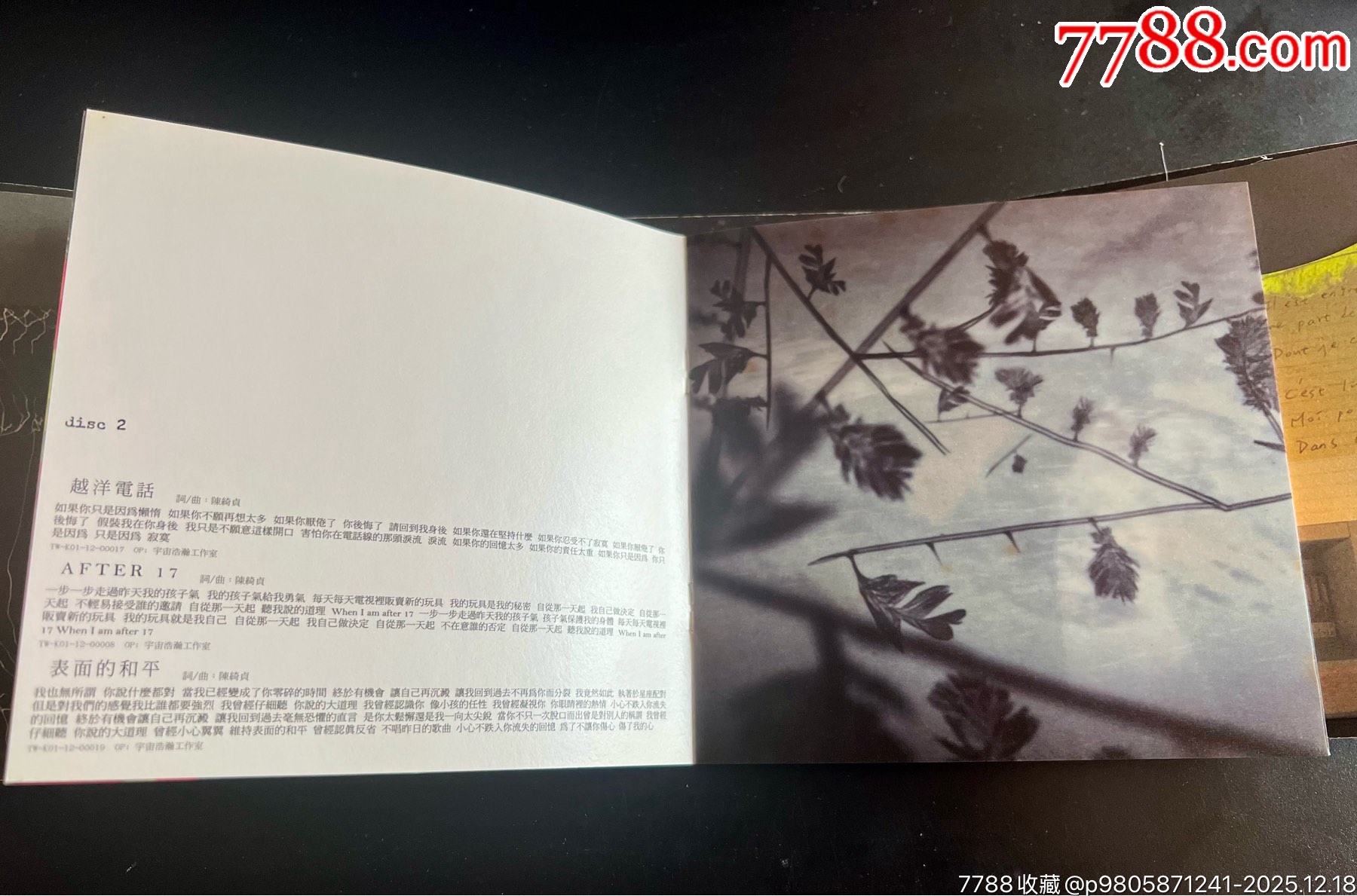 陳綺貞，夏日練習(xí)曲，臺(tái)版2CD，盤面干凈幾絲細(xì)痕_價(jià)格163元_第6張_