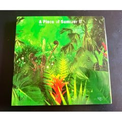 陳綺貞，夏日練習(xí)曲，臺(tái)版2CD，盤(pán)面干凈幾絲細(xì)痕(au43357234)