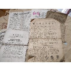 紅衛(wèi)報(bào)紙