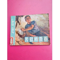 廣闊天地-火紅的青春