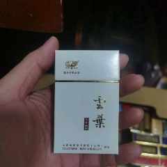 3D收藏：云葉，非賣品【本商品僅供收藏】