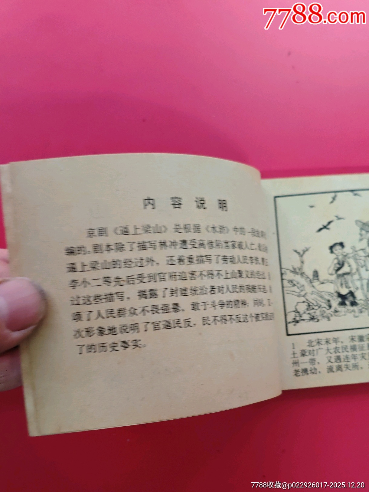 逼上梁山_價(jià)格10元_第6張_