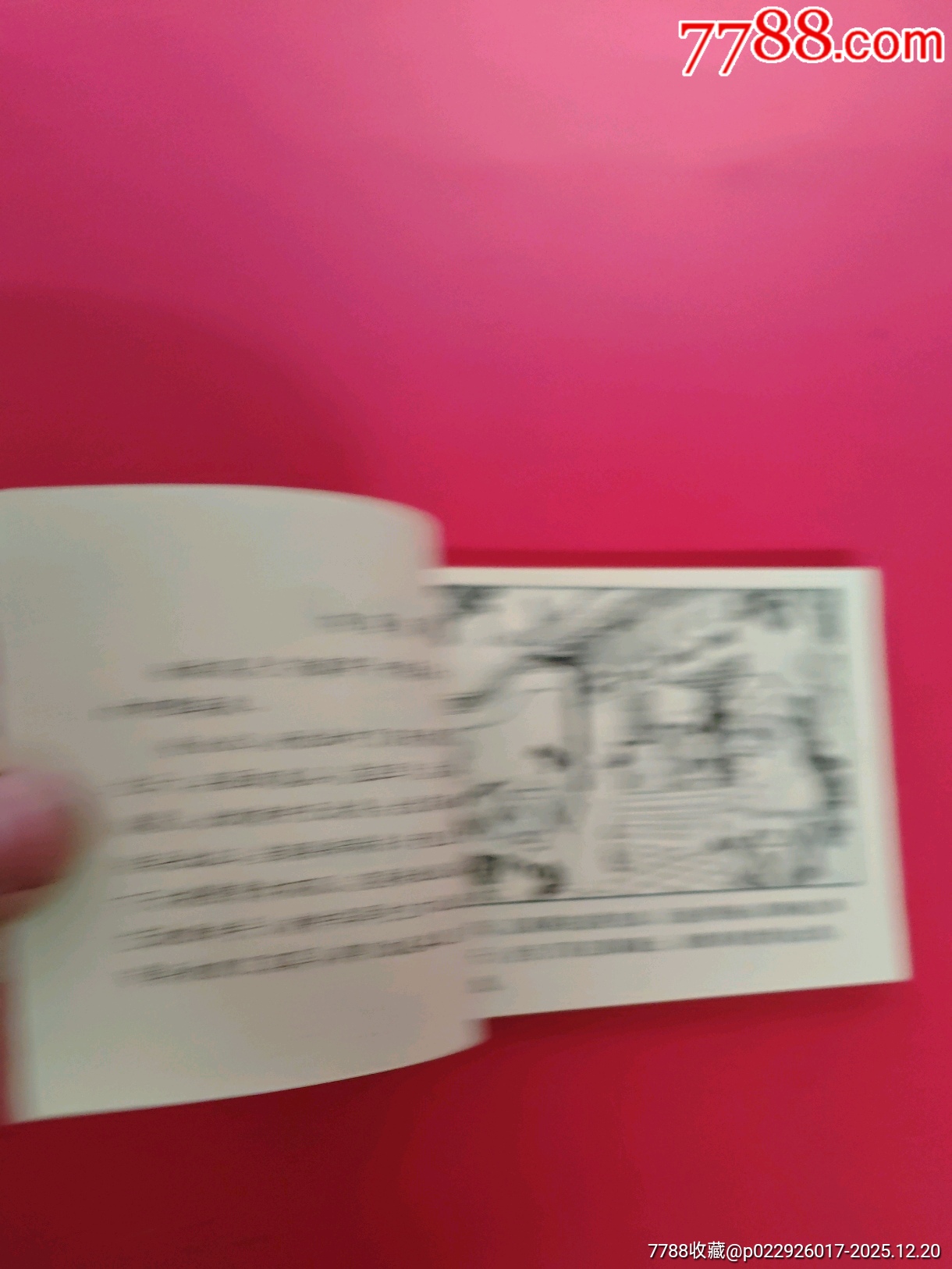 楊排風_價格10元_第6張_