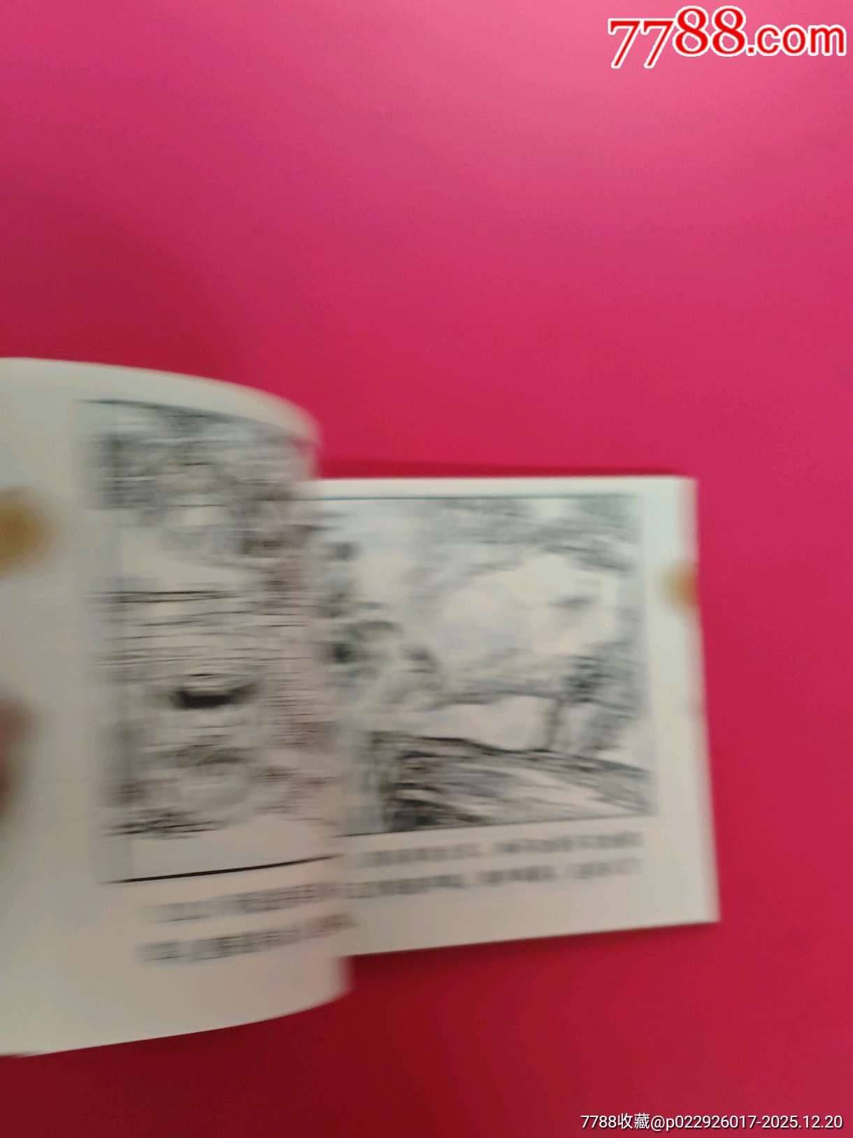 楊排風_價格10元_第8張_