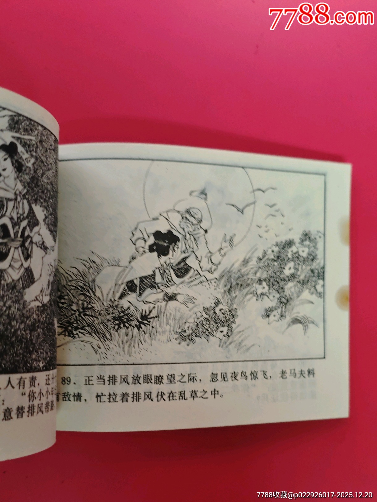 楊排風_價格10元_第9張_