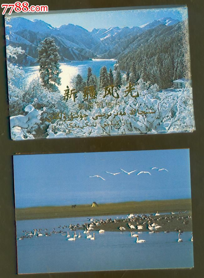 新疆风光明信片——fp5新疆风光(1997年)10枚全