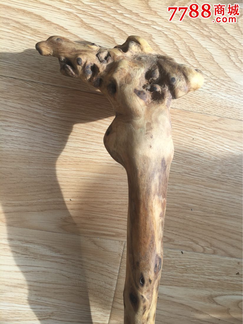 原生整根实木带根拐杖